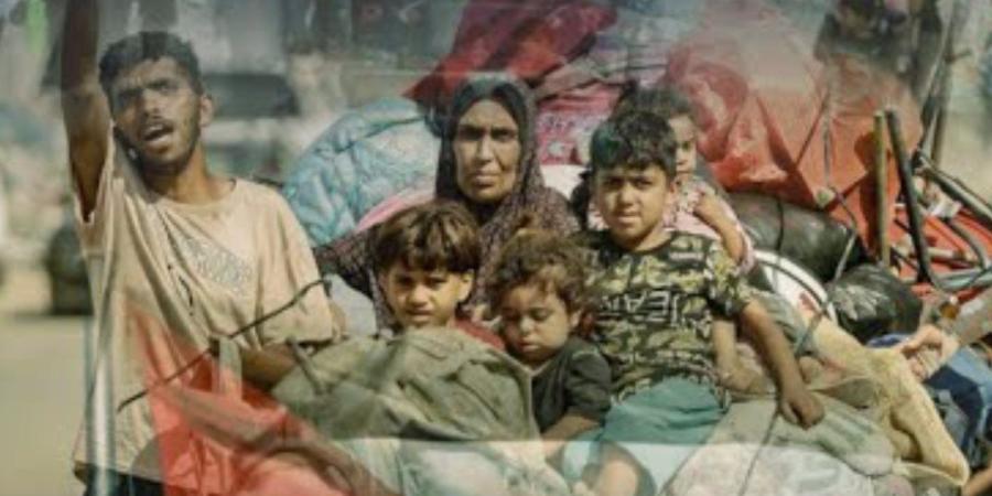 بعد البيان الثلاثي.. خبير قانوني: خطوة نحو كسر الصمت الدولي على جرائم إسرائيل في غزة ـ موقع الآن نيوز