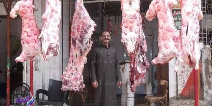 خراف حية بأسعار مخفضة في 1000 شادر تمويني استعدادًا لعيد الأضحى ـ موقع الآن نيوز