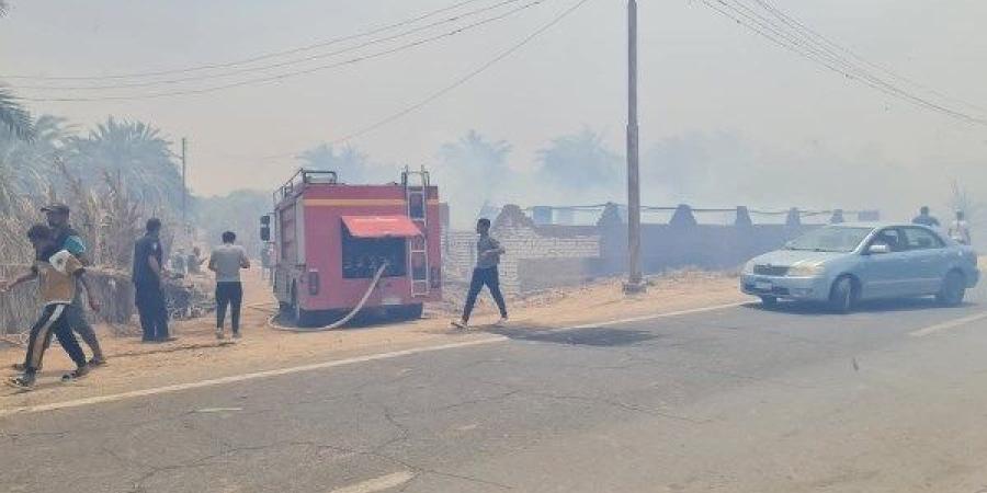 أخبار الوادي الجديد| حريق بمزارع نخيل بقرية القصر.. والسيطرة على نيران بزراعات نخيل ـ موقع الآن نيوز