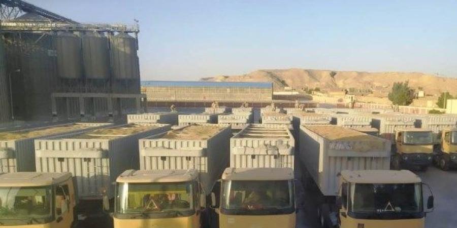 توريد 400 ألف طن قمح بأسوان ـ موقع الآن نيوز
