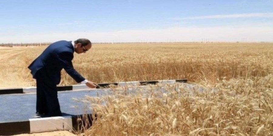 الرئيس السيسي يشهد موسم حصاد القمح ويتفقد مدينة مستقبل مصر الصناعية ـ موقع الآن نيوز