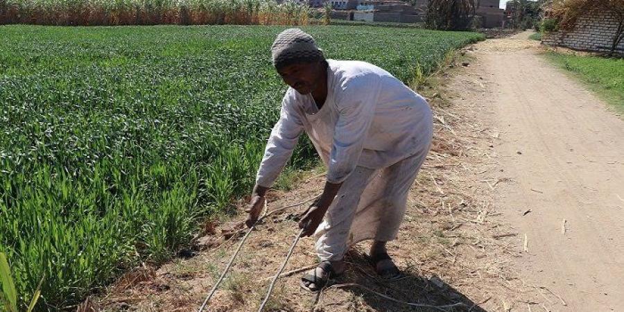 تيار كهربائي بلا أعمدة.. أخطار تهدد حياة الأهالي في عزبة الخليلي بأرمنت - موقع الآن نيوز