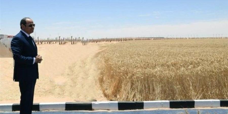 الضبعة تزرع الأمل | السيسي يُطلق شرارة النهضة الزراعية.. وخبير: مصر تسعى لـ 13 مليون فدان قمح ـ موقع الآن نيوز