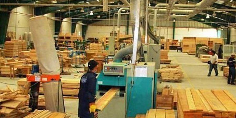 صناعة الأثاث: إنتاج خشب MDF في مدينة توشكى يعد المصنع الأول من نوعه ـ موقع الآن نيوز